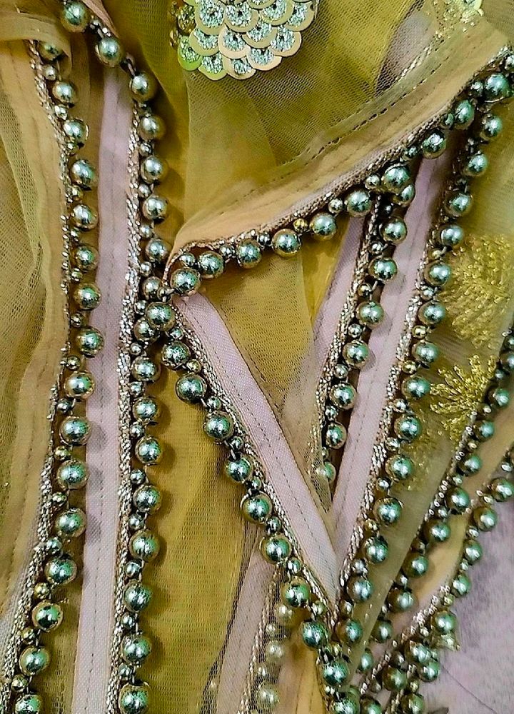 Partywear✨Golden Beaded Saree With Blouse ✨