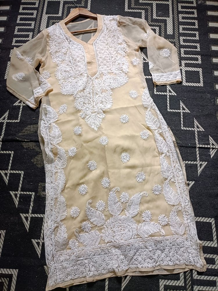 Nude Intricate Work Chikankari Kurta