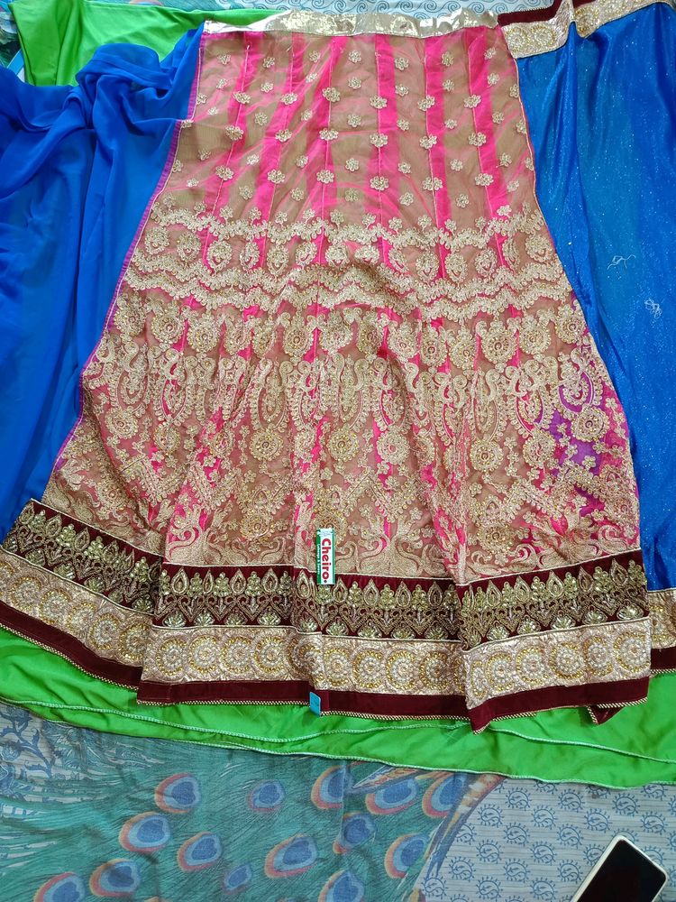 Wedding Zari Worker Lehenga Saree