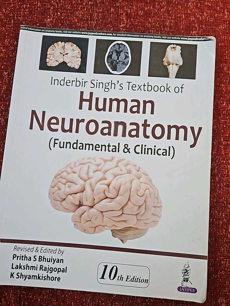 Human Neuroanatomy IB SINGH