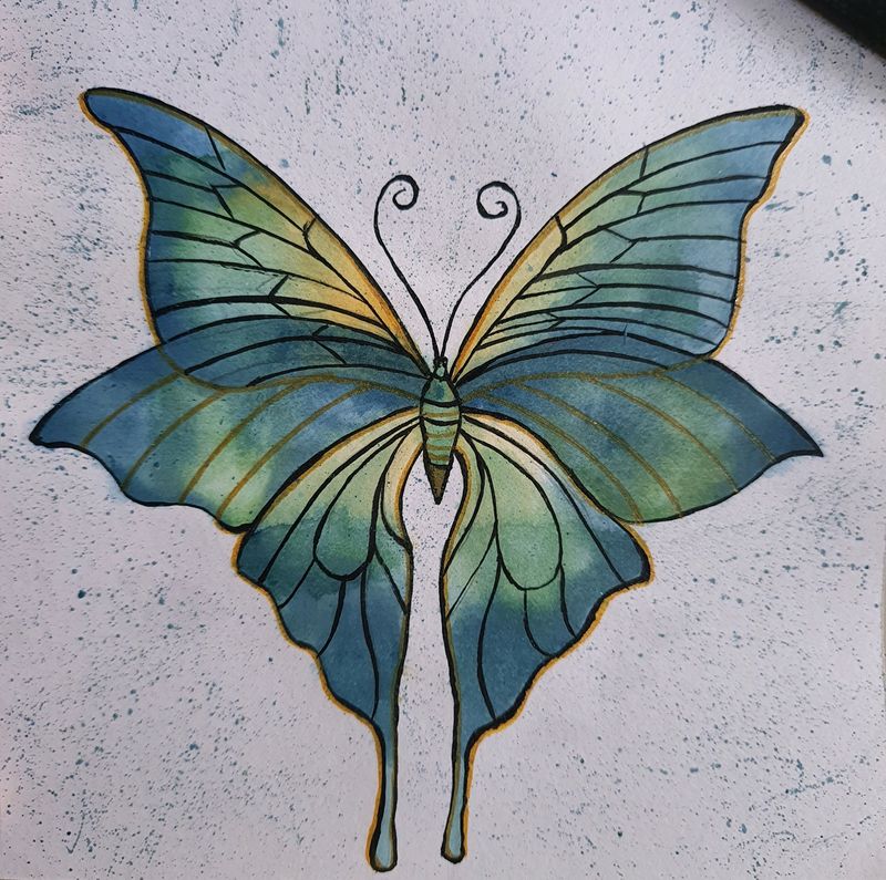 butterfly painting🦋