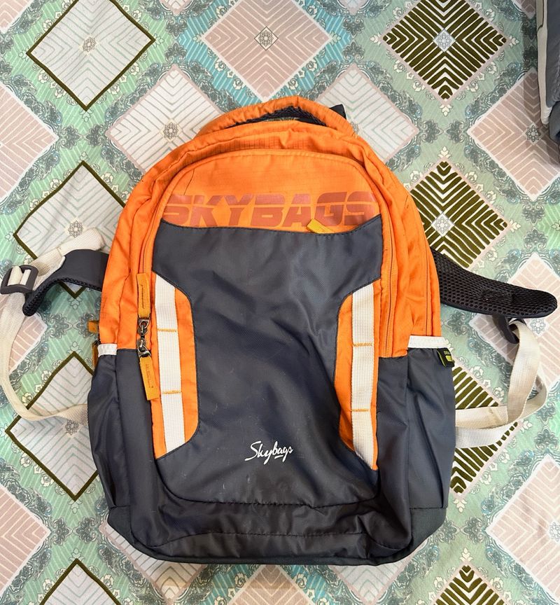 Grey Orange Skybags Bagpack