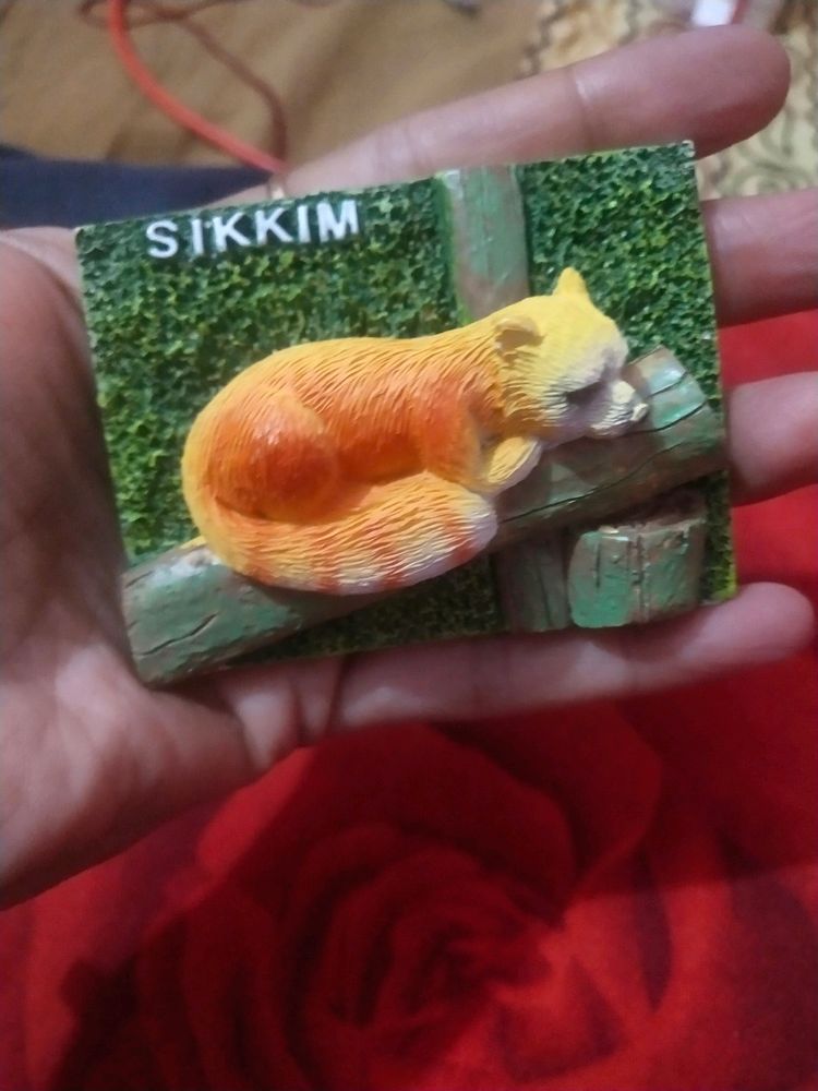 Beautiful Sikkim Fridge Magnet New