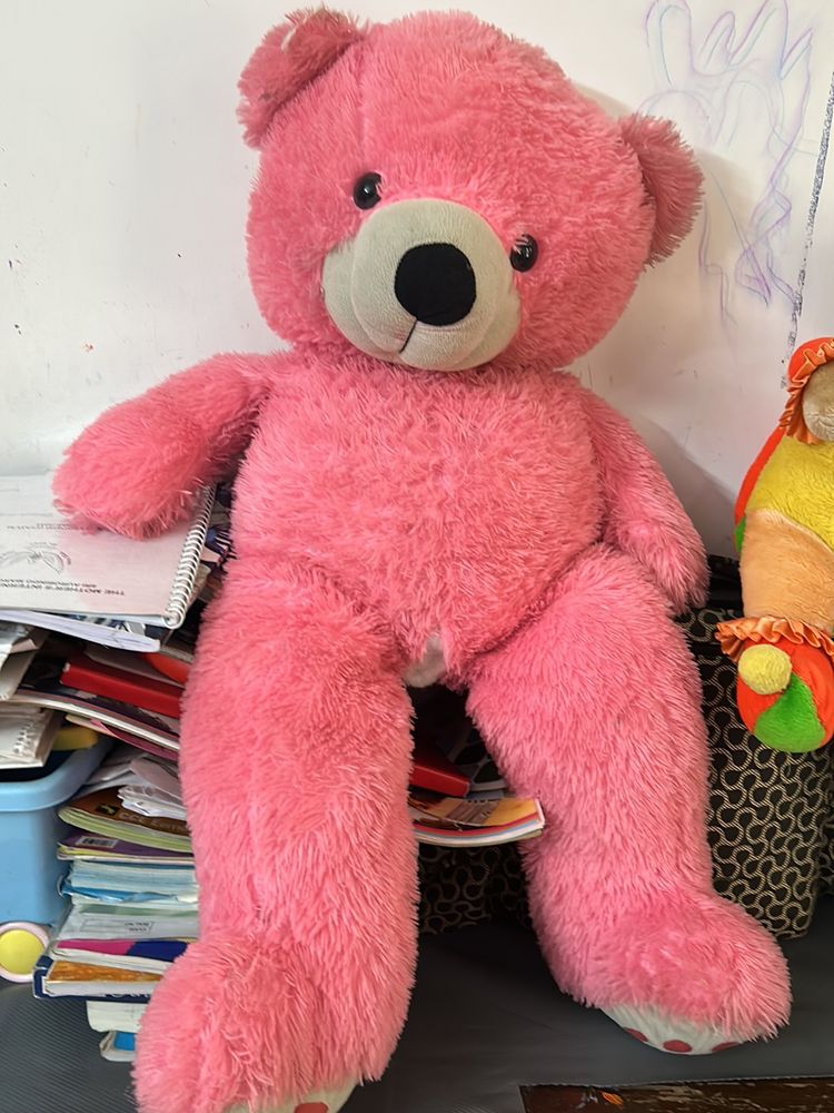 Big Pink Teddy Bear 🧸