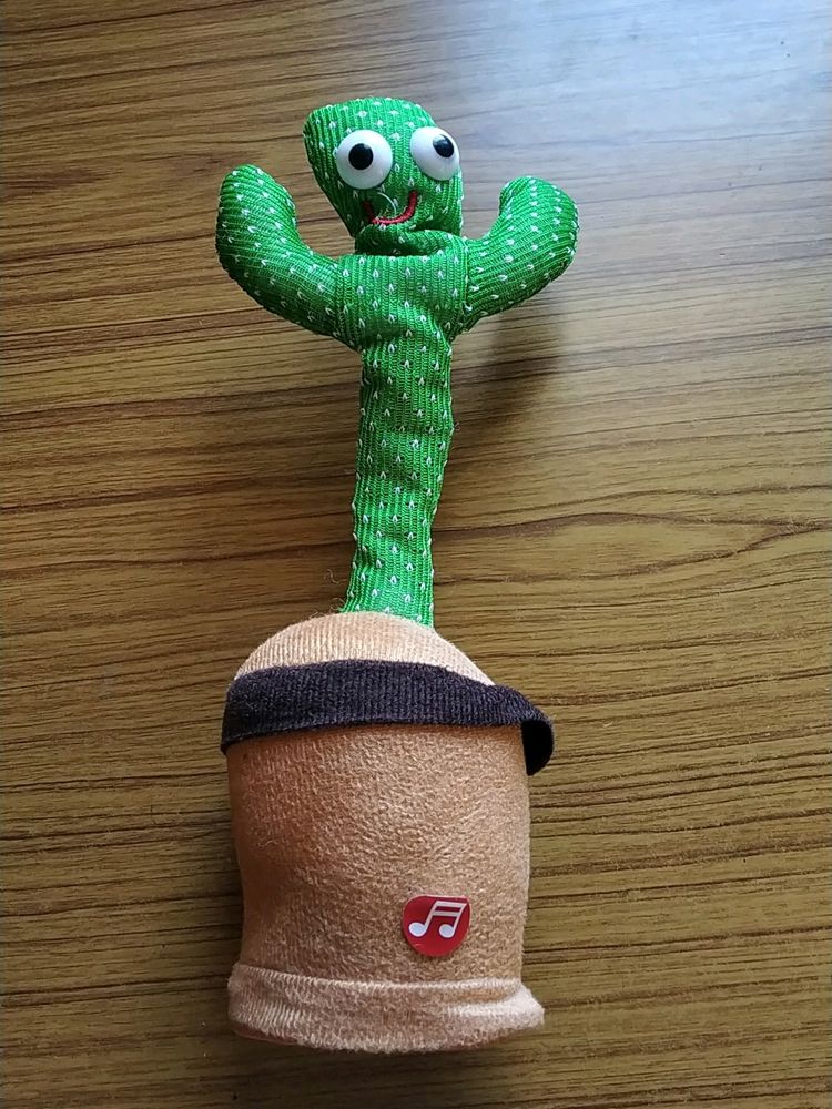 Cactus Shaped Plant For Kids To Play