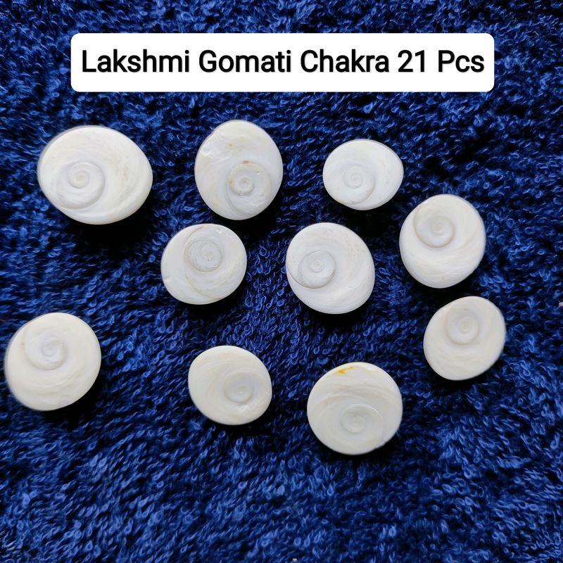 Original Lakshmi Gomati Chakra 21 Pcs Pujan Stones