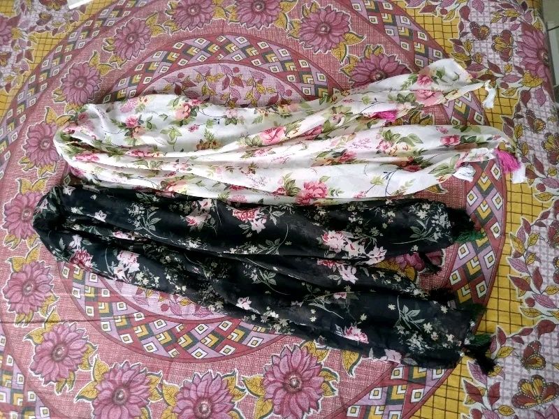 New Scarves For Women