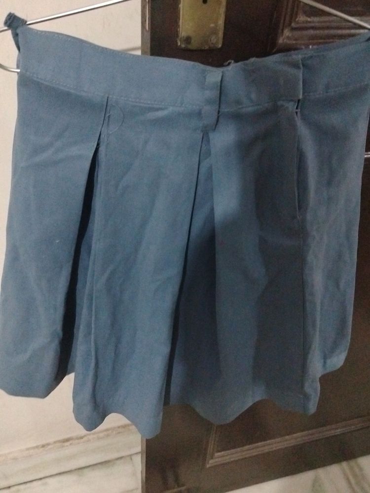 Bluish Gray Skirt For School