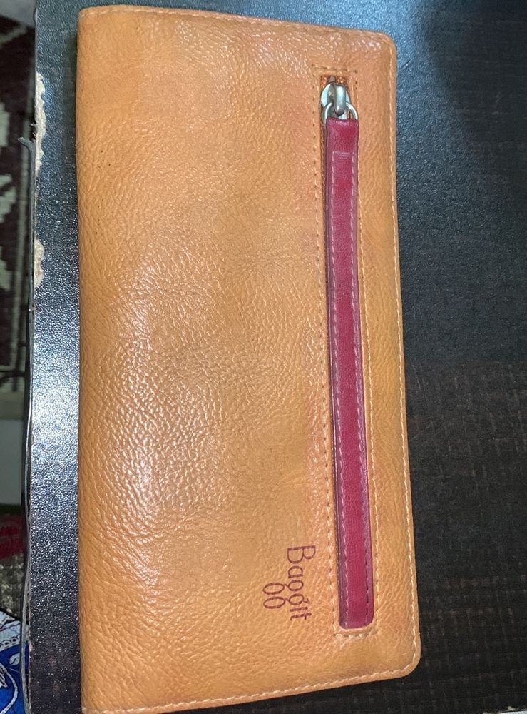 Baggit Wallet