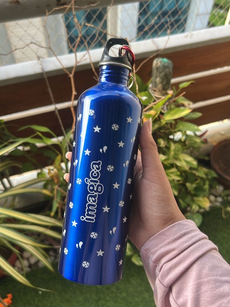 Stainless Steel Water Bottle