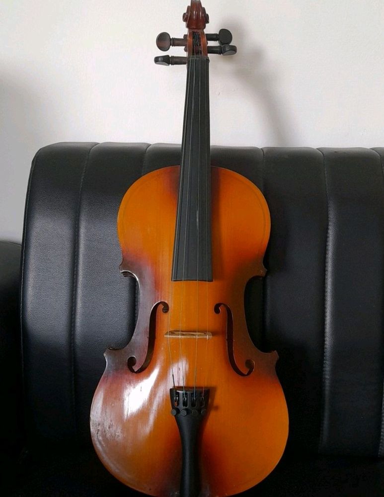 🎻 Violin