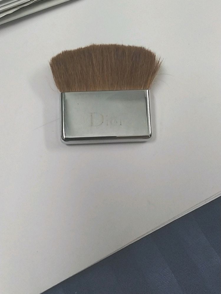 Dior Blush Brush Collector's Item