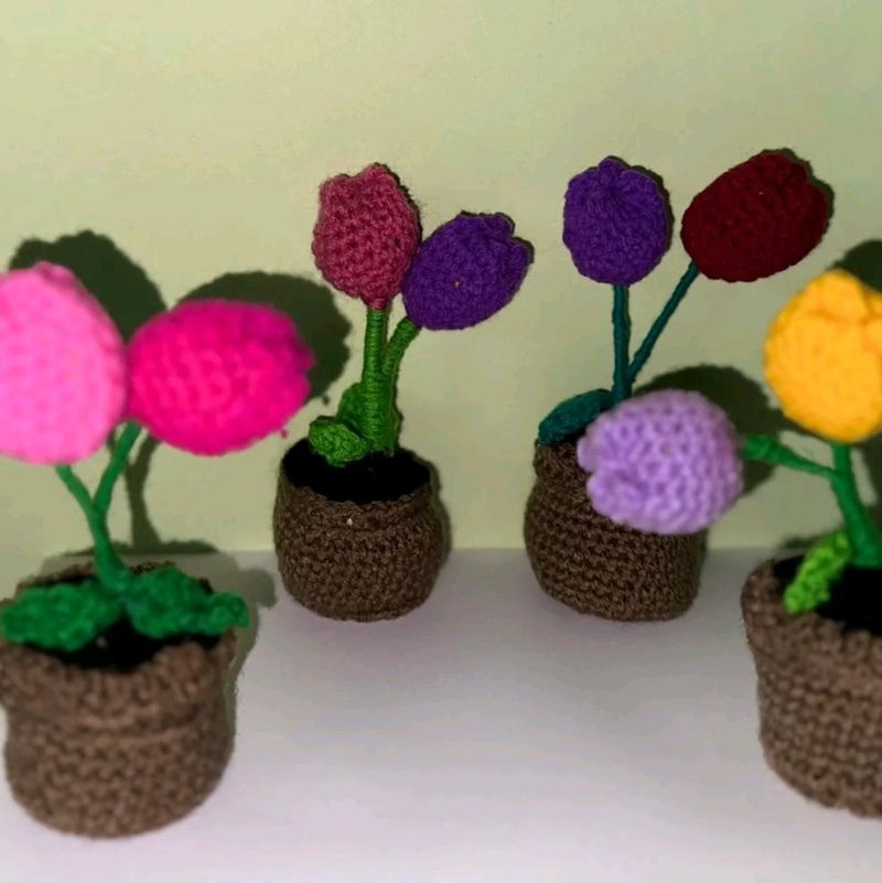 Small Tulips Flower Pots