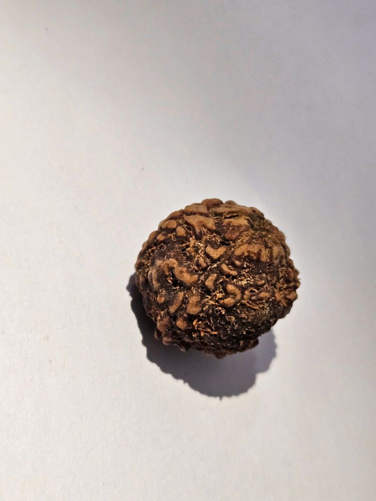 RUDRAKSHA🕉