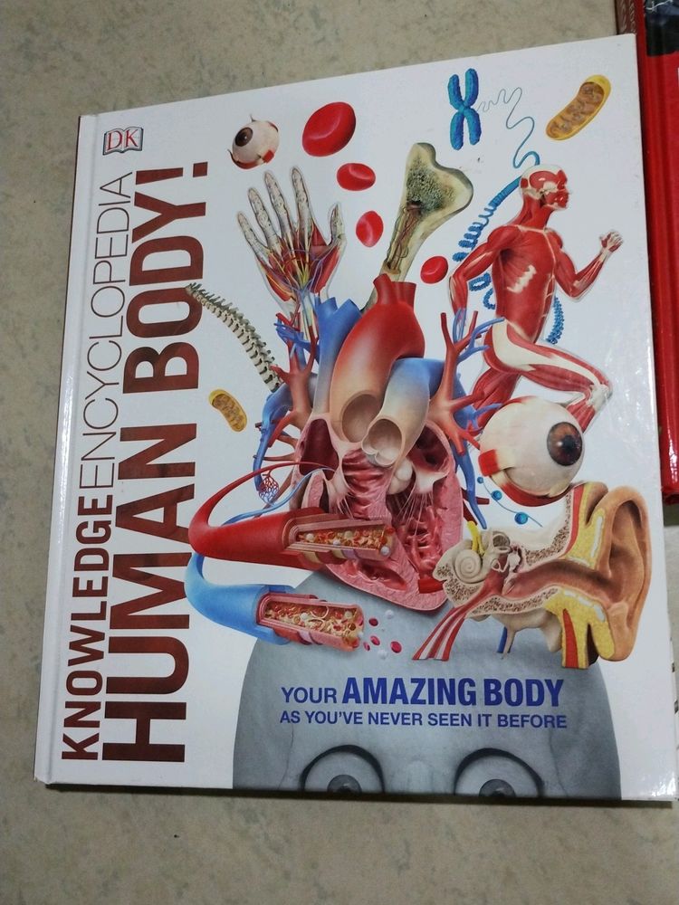 Human Body Book 📚