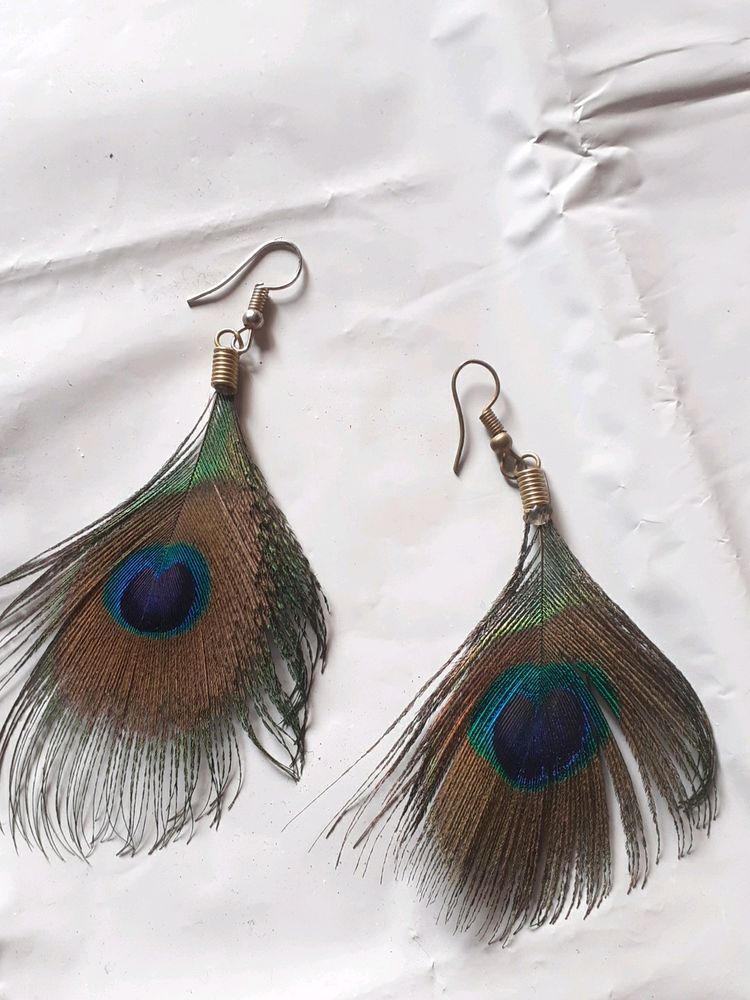 Beautiful Peacock Feather Earrings