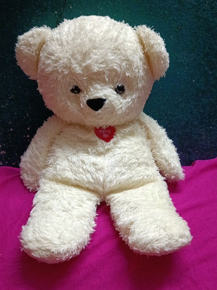 Imported Bear Soft Toy