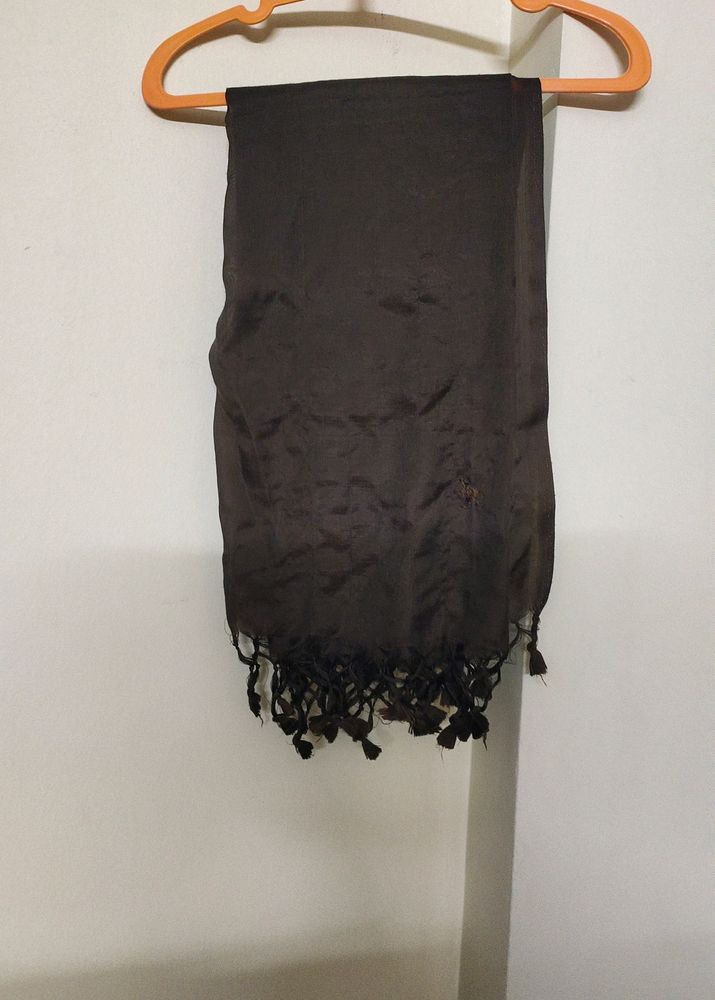 Brown Dupatta