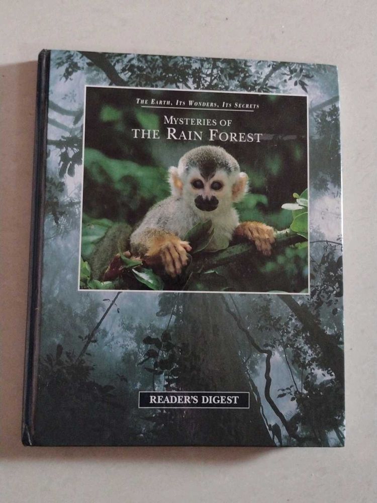 Mysteries Of The Rain Forest