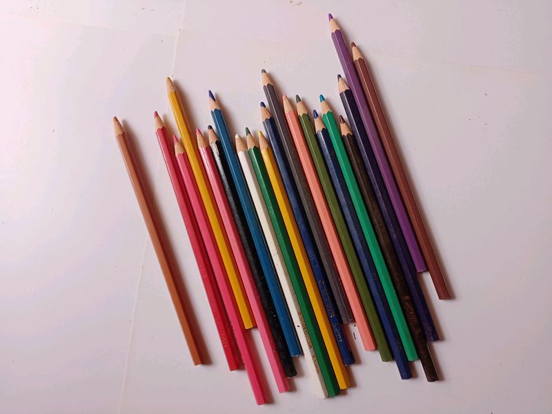 Staedtler Luna 24 Color Pencils