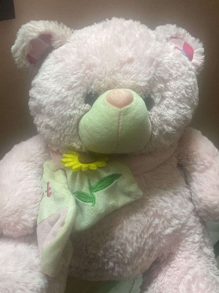 Pink Cuddle Teddy