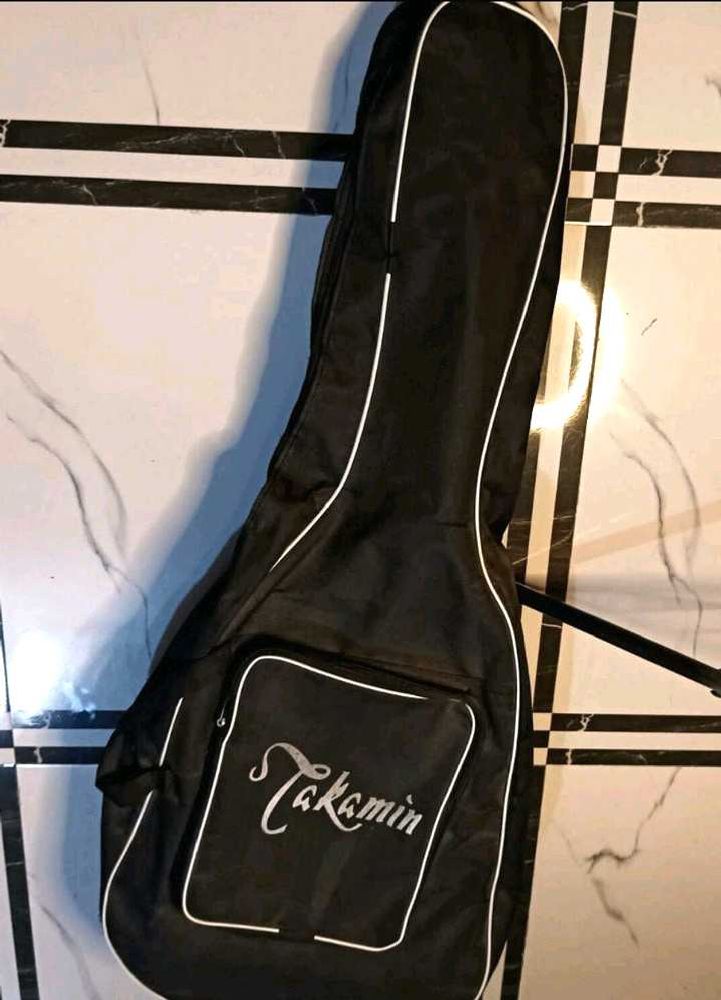 Guitar Bag.