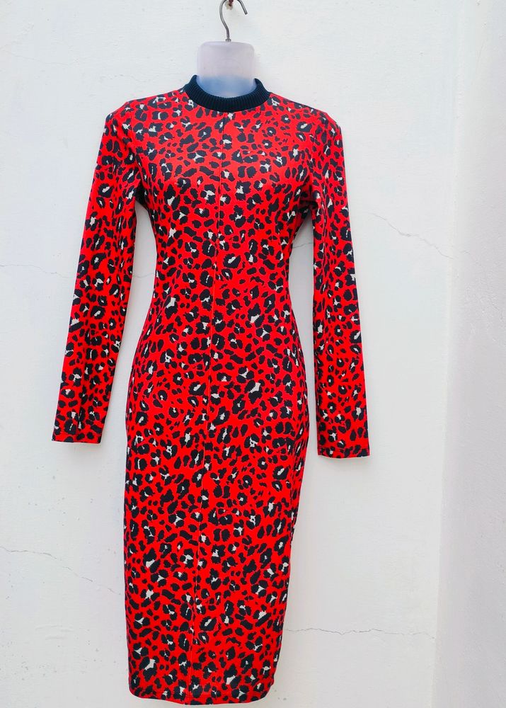 Zara Basic Animal Print Dresss