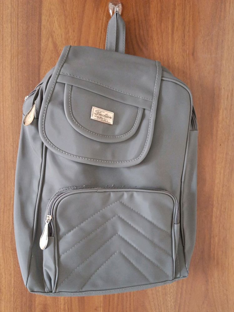 New Grey Back Pack