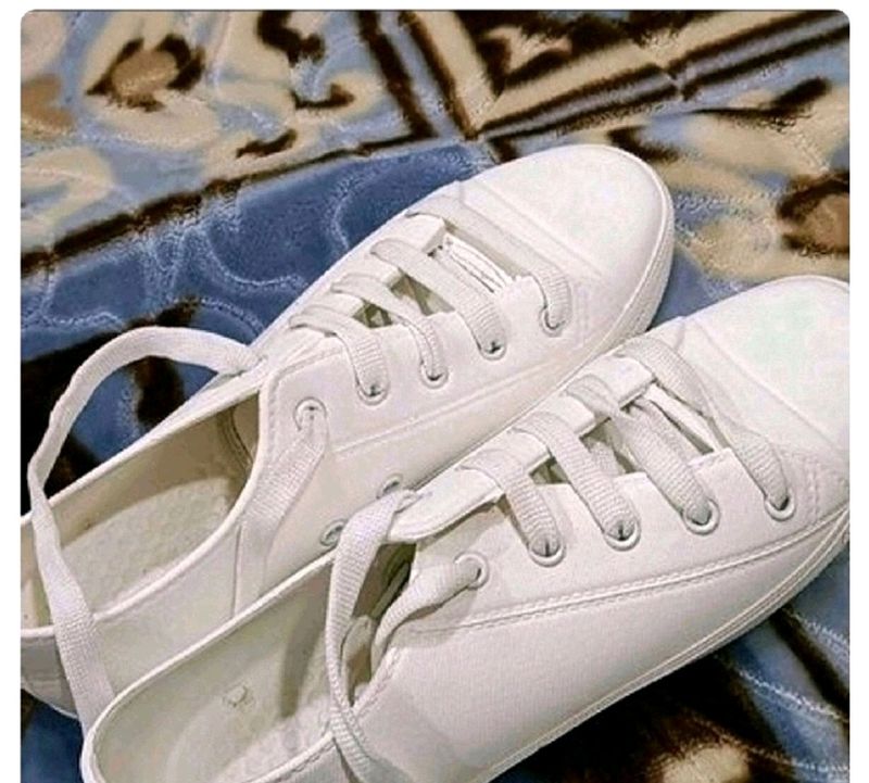 Zudio White Sneaker