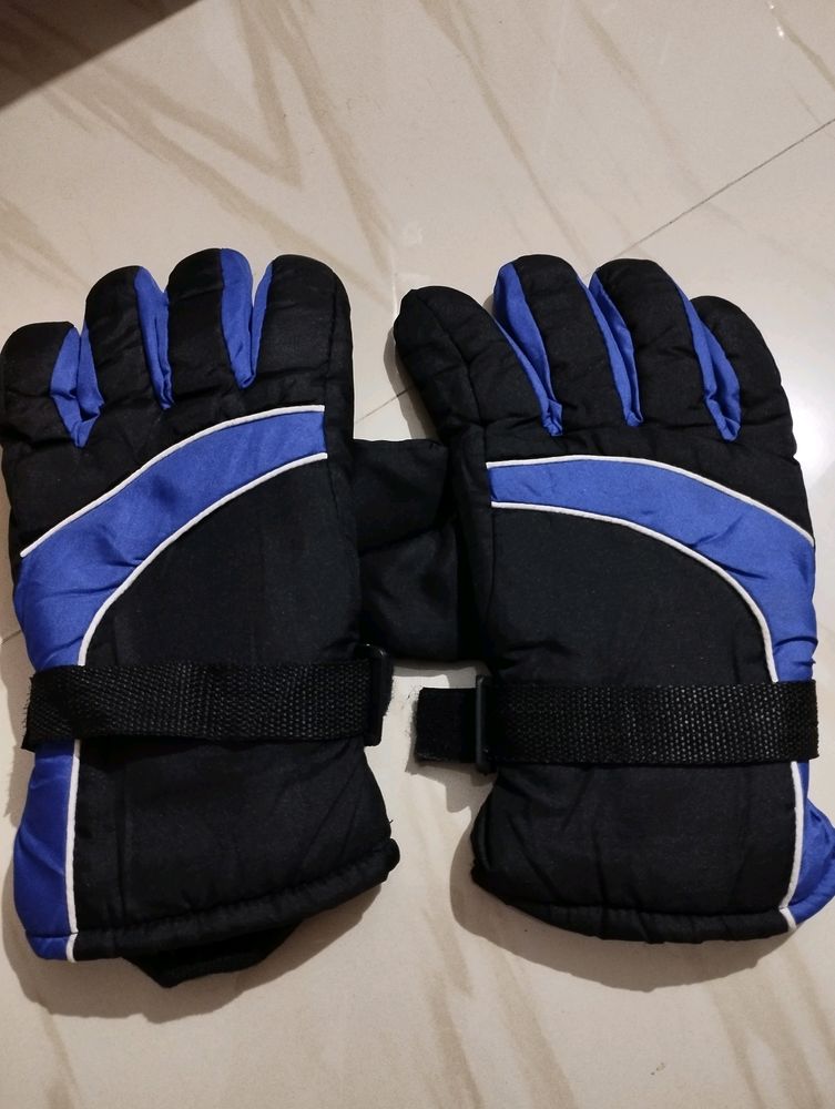 Gloves with Inner