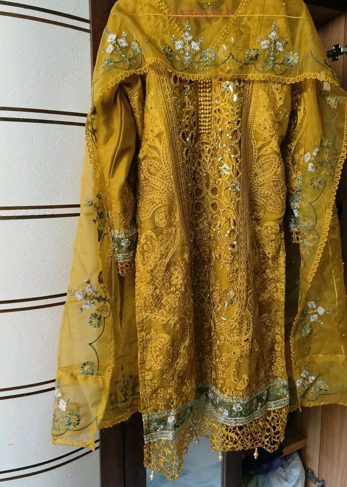 🔥 Today's Offer 🔥 New Organza Pakistani Dress