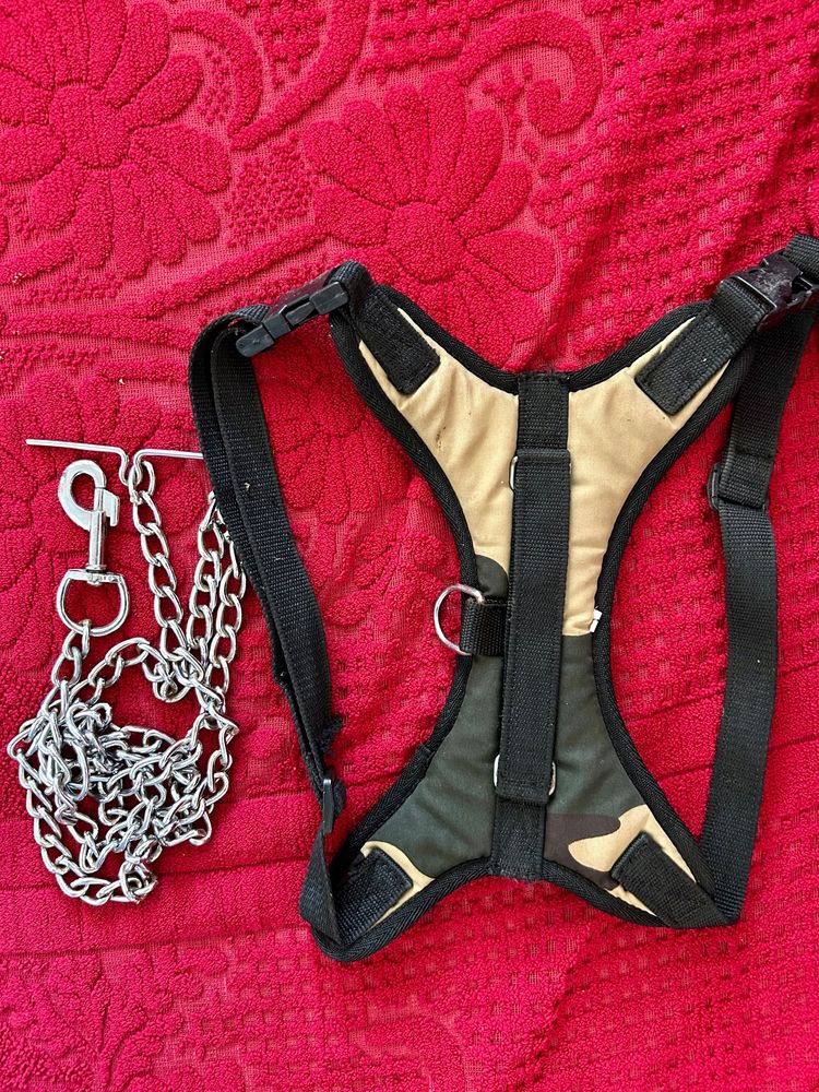 Dog Harness Belt