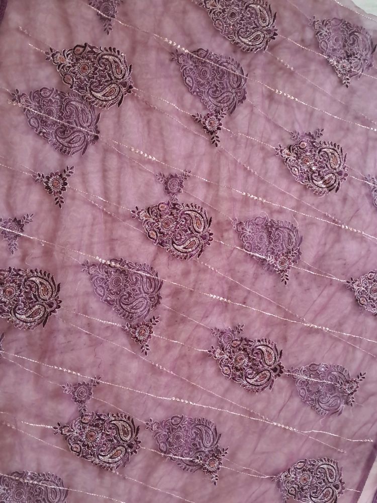 Dupatta Neted