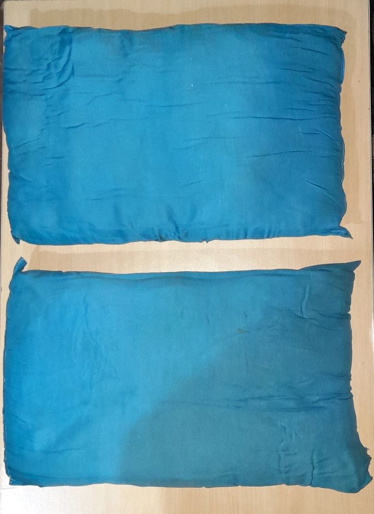 Set Of 2 Blue Colour Pillows
