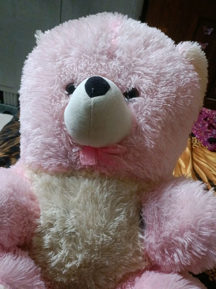 Pink Teddy Bear