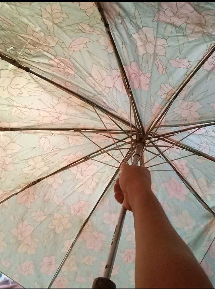 Used Umbrella