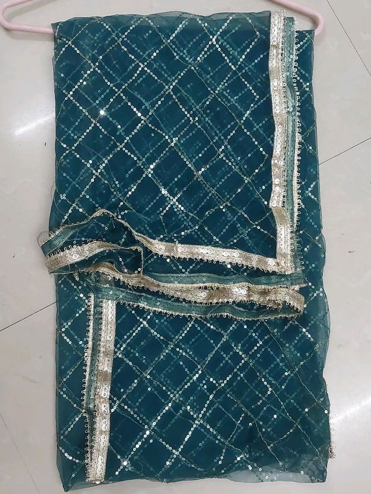 New Sequence Dupatta