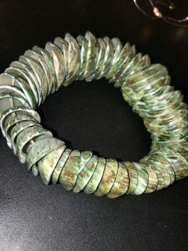 Green Sea Shells Painting Bracelet