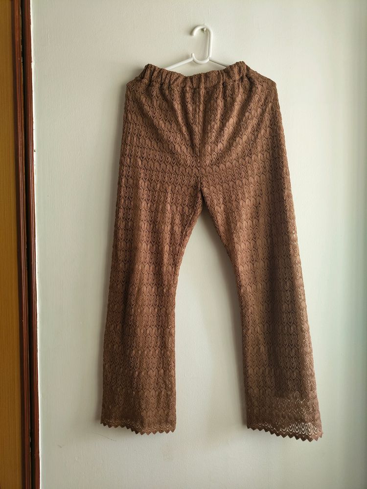 Brown Lace Flared Pant With Inner Lining