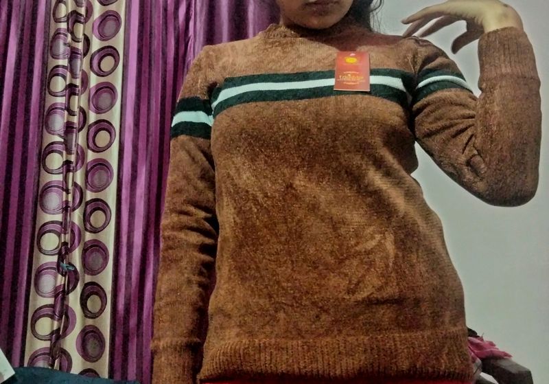 Brown Sweater