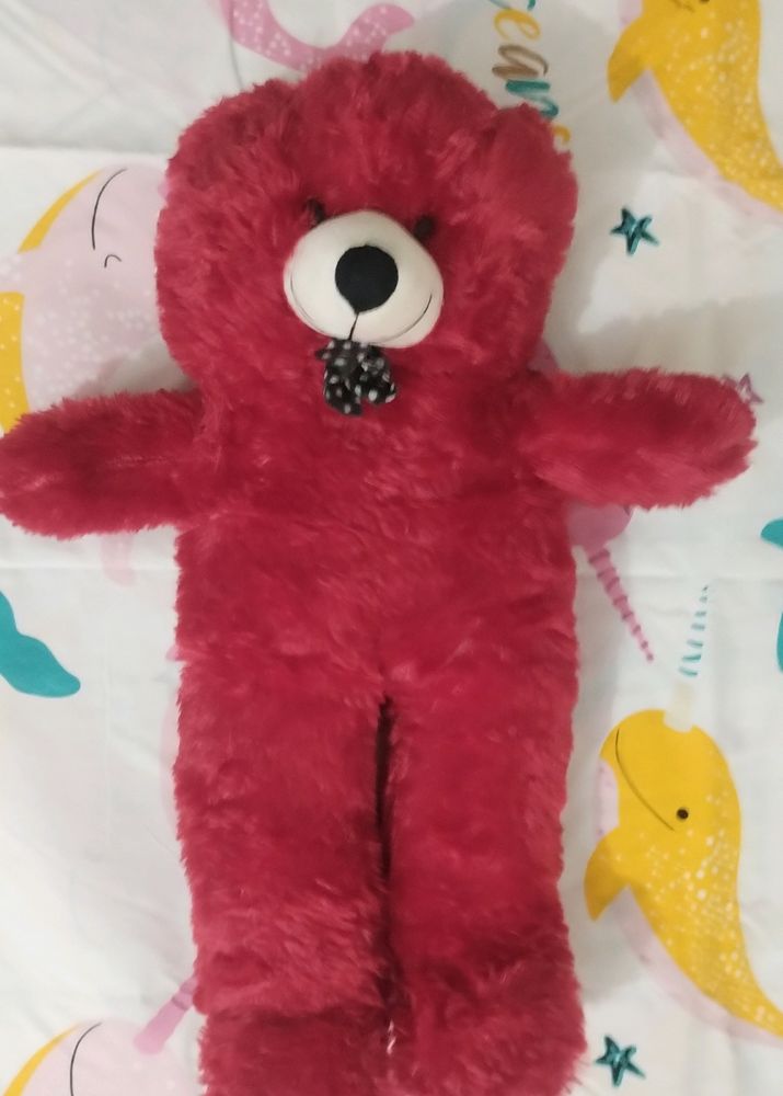 Red Teddy For Kids