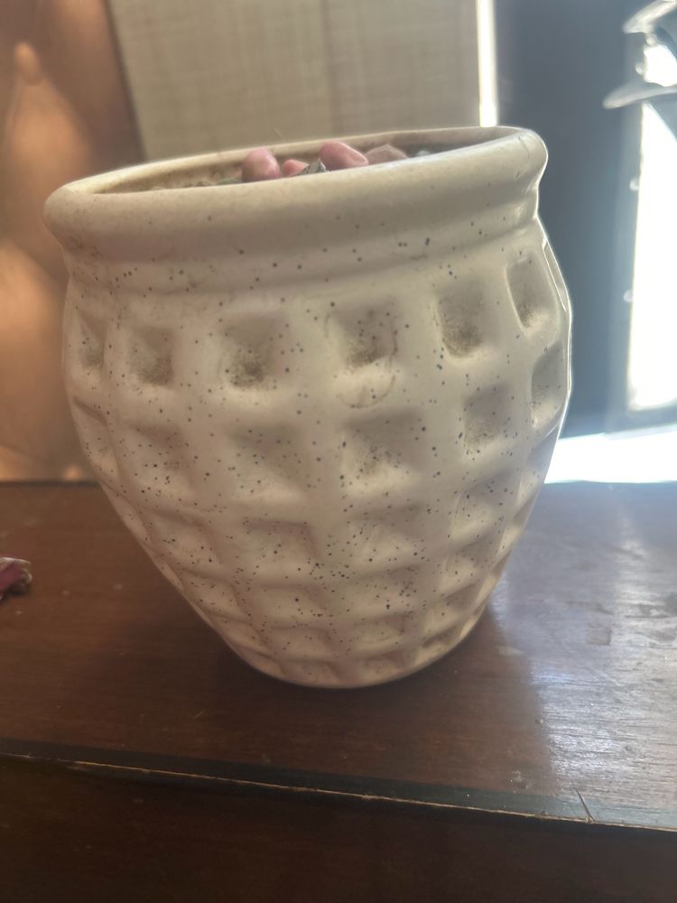 Beautiful Ceramic Flower pot