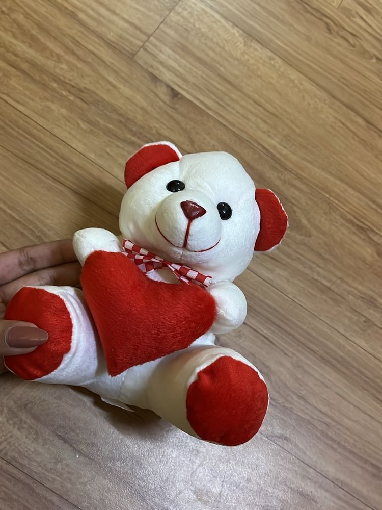 Cute Small New Teddy