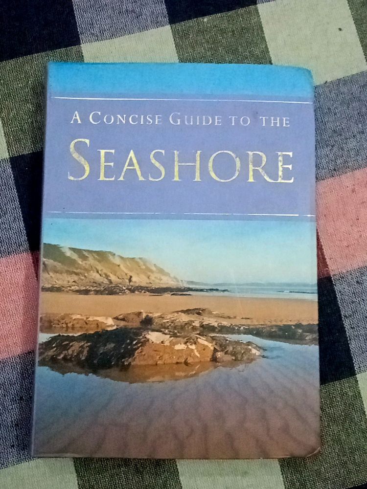 A Concise Guide To The SeaShore