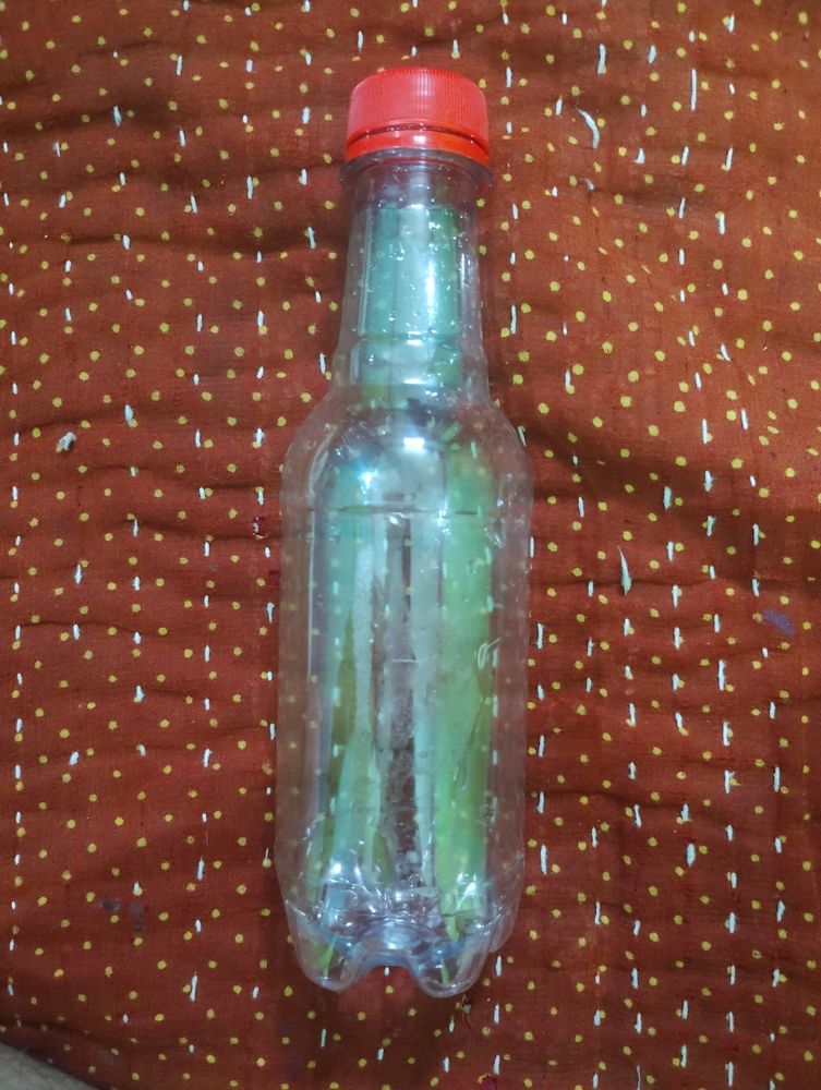 Bottle