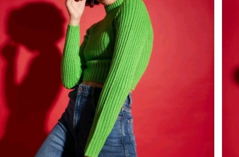 Turtle Neck Crop Sweater