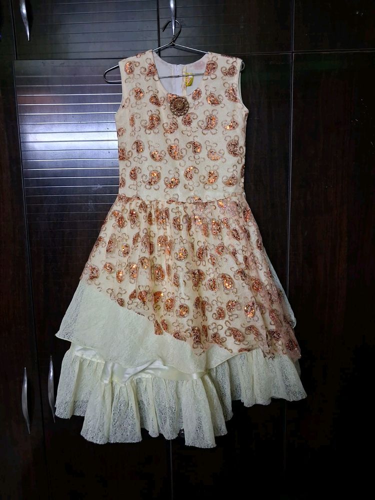 Beautiful Sequence Party Wear Dress