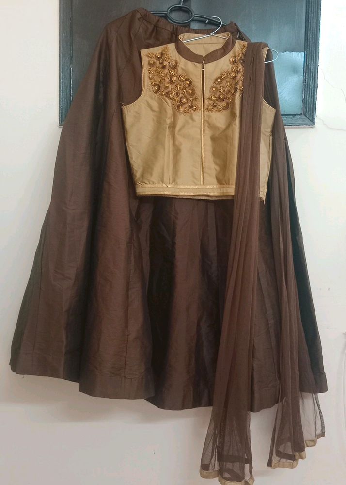 Crop Top Lehnga Choli With Dupatta