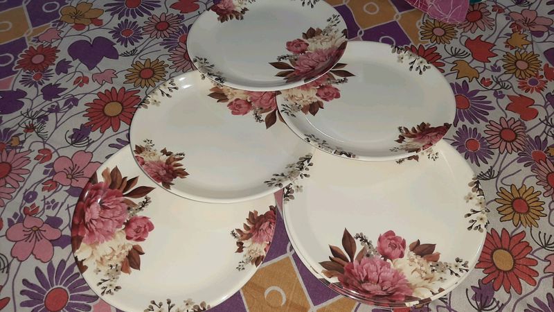 6 Quater New plates (Unbreakable Fibre)