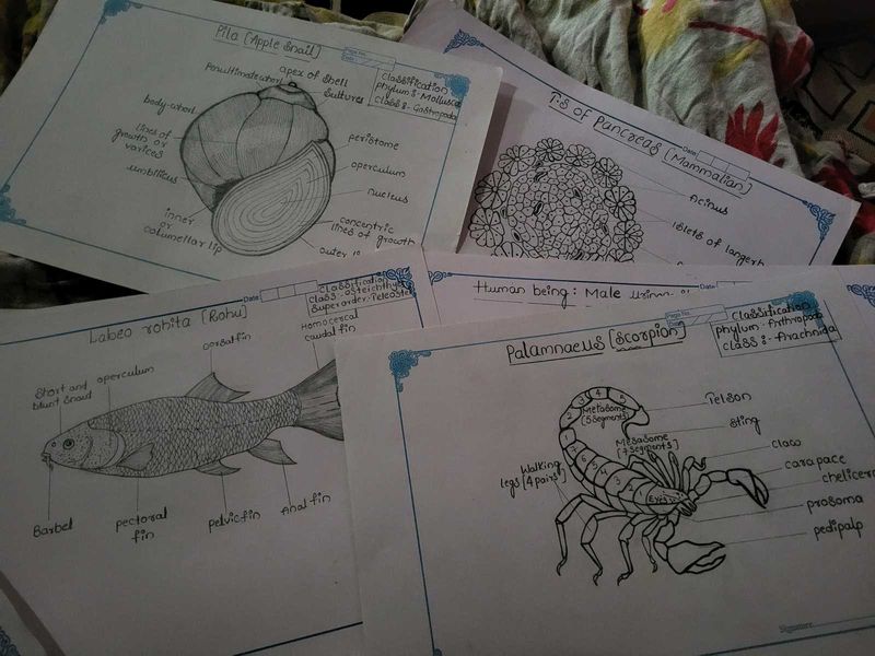 ZOOLOGY Record For Student